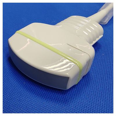 Compatible Convex Curved Probe for Chison C3-A ECO1 ECO2 ECO3 ECO5 ECO6 Ultrasound Easy