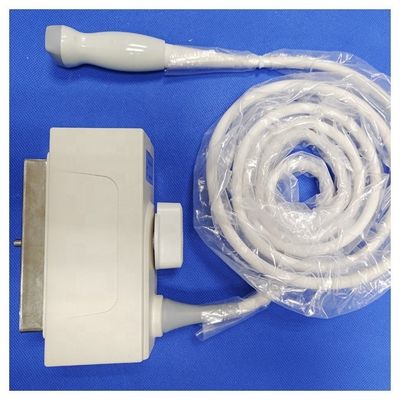 PA240 Esaote Ultrasound Probe Ultrasonic Phased Array Transducer for Diagnostic Imaging