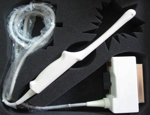 Esaote EC123 Transvaginal Ultrasound Probe Class II Instrument with Enhanced Imaging