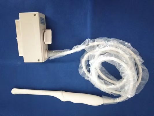 Diagnostic Imaging System with Ultrasonic Transvaginal Probe Esaote EC1123 Mylab C