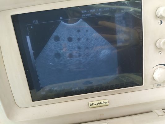 Class II Ultrasonic Mindray Expert Pregnancy Scanner 65C15EA Microconvex Probe for Imaging
