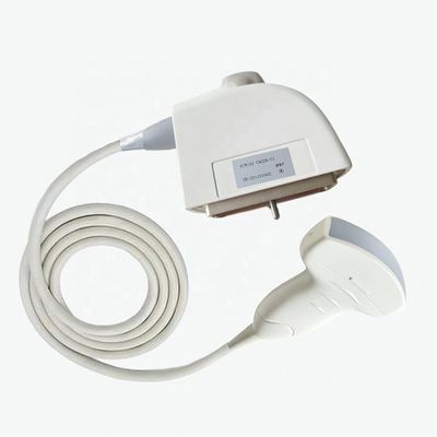 Electric Medical Exmination Siemens CH5-2 Ultrasound Human Convex Probe Transducer
