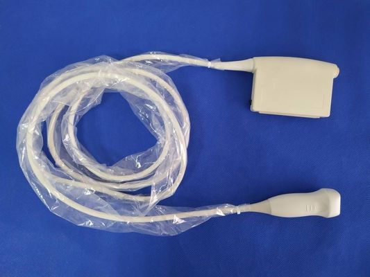High Definition Ultrasound Probe PH S4-2 HD5/6/7/11/15/EnVisor for Medical Diagnosis