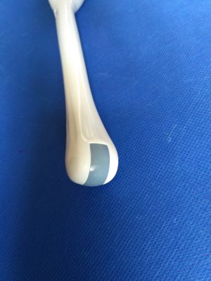 Professional Ultrasound PVT-661VT Transvaginal Transducer for Xario Medical Diagnosis