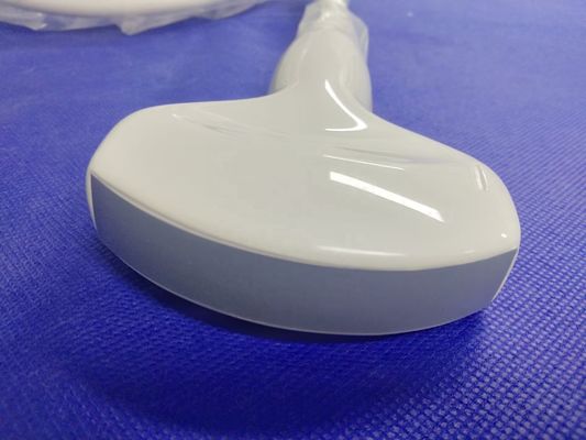 Convex Probe Type Ultrasound Compatible Probe for Medical Exmination Examination